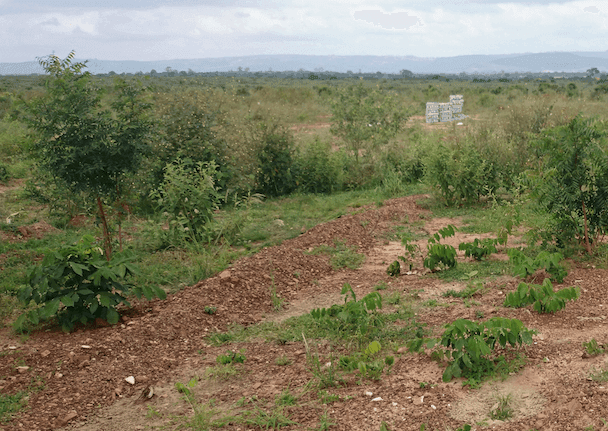 PROCEDURE TO REGISTER LAND